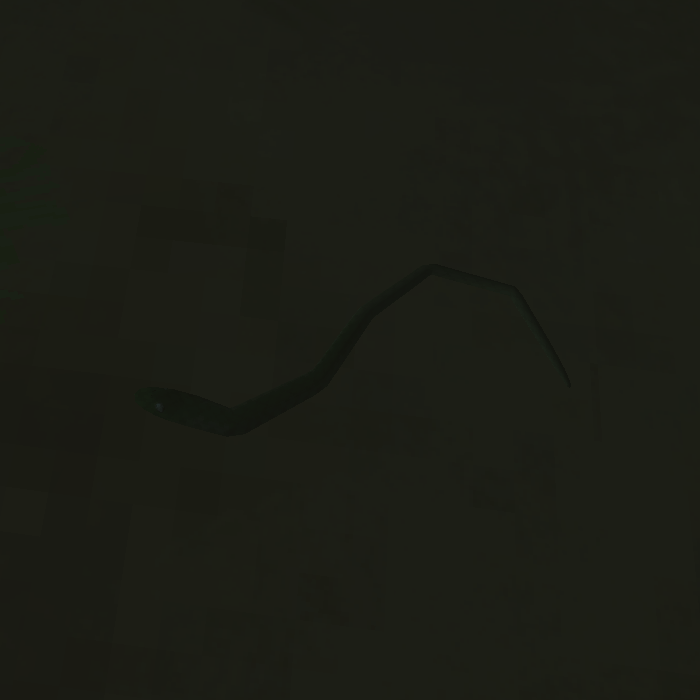 A Jaskia snake in the night.